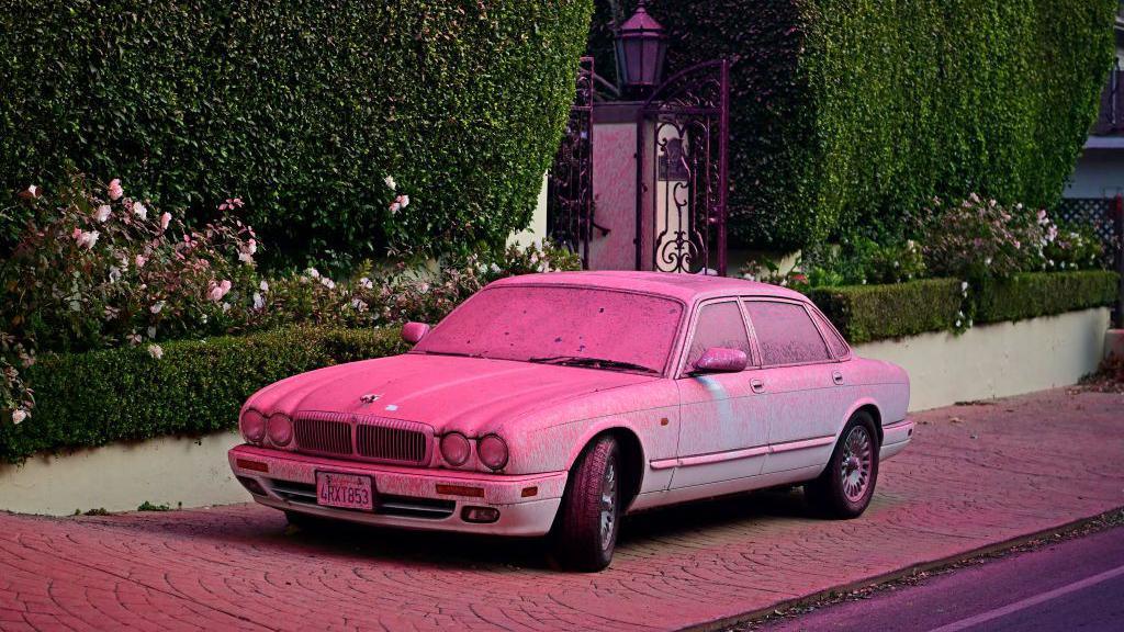 A car and the pavement are covered in a layer of pink dust