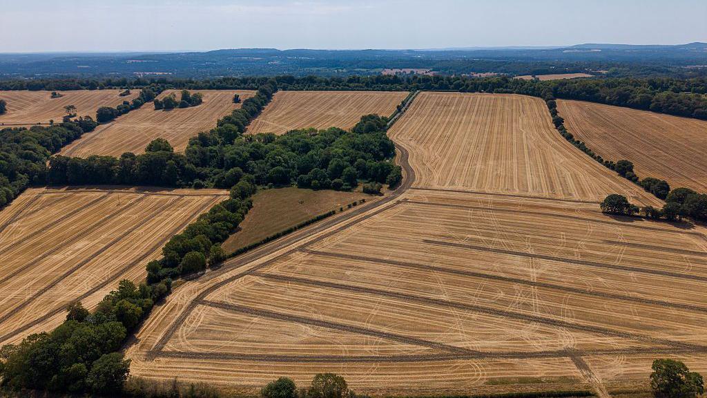 Dry farmland.