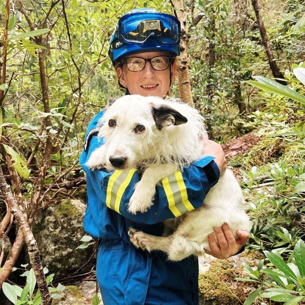 Reggie has wiry white hair, big eyes and black ears. He looks a bit sad, but is held safely in the arms of one of his coastguard rescuers. The volunteer is wearing a hard hat and blue overalls. Behind them is a large area of woodland.
