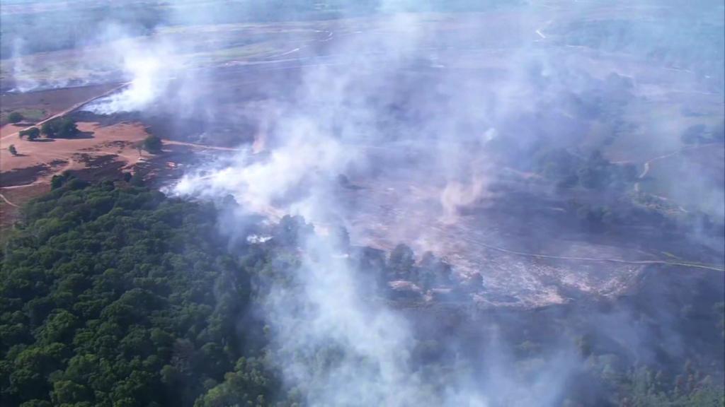 Wildfire in New Forest