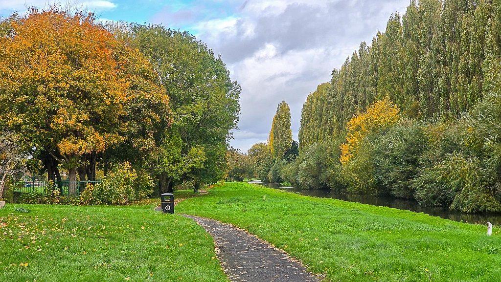 Several trees of differing leaves, from green through to yellow, line a park with a path leading between green grass, some areas with leaves on the ground.