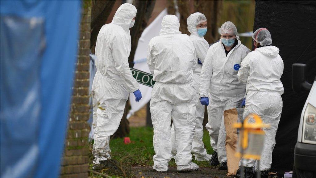 Investigators at the scene of a hit-and-run in Hailsham, East Sussex