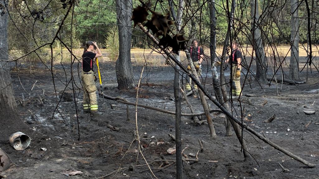 A group of firefighters are standing within the charred remains of what appears of a wooded area. The earth around is blackened and the trees are burned.