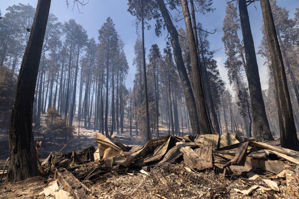 The ruins of a cabin that was destroyed when a firestorm swept through upper Slick Rock Canyon