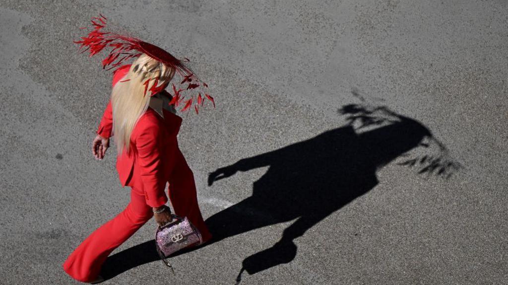 shadow of woman in fascinator