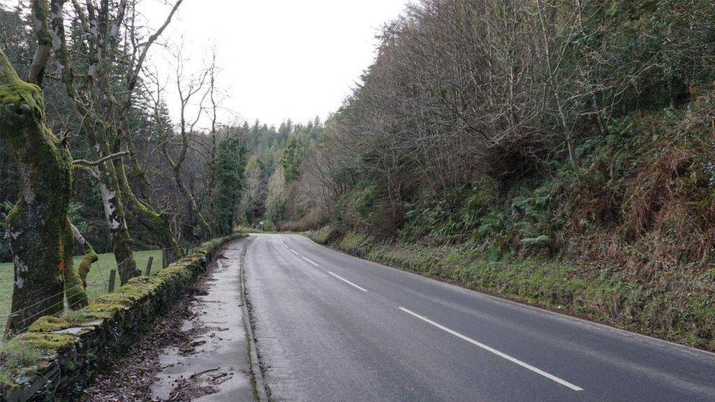 A stretch of road trees will be removed from