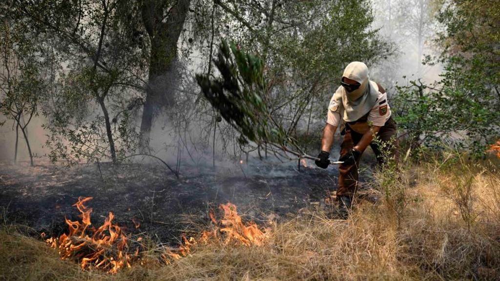Firefighters try to extinguish a wildfire at Betxi, one of the towns affected by the forest fire of the La Vall d'Uixo area in Castellon, Spain, 28 July 2026.