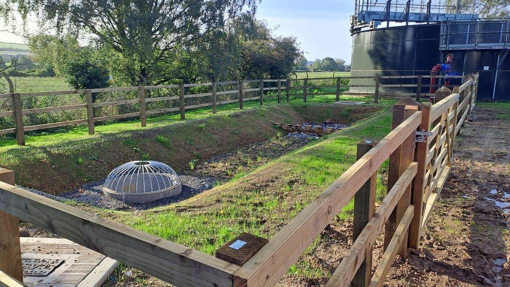 The bio-swales, like this one at Hurdcott Water Recycling Centre, work similarly to the larger-scale wetlands currently being planned and delivered by Wessex Water