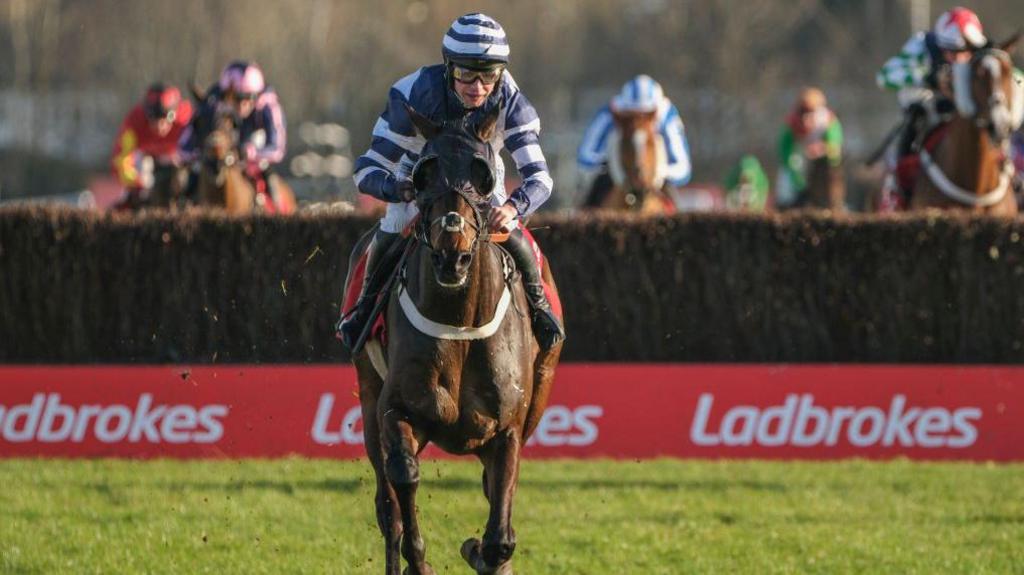 Katate Dori ridden by Charlie Deutsch