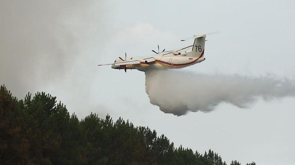 A plane drops fire retardant on green trees.