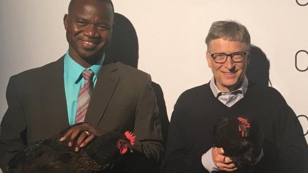 Screen grab from tweet from Bill Gates which reads: "Help me give away 100,000 chickens"