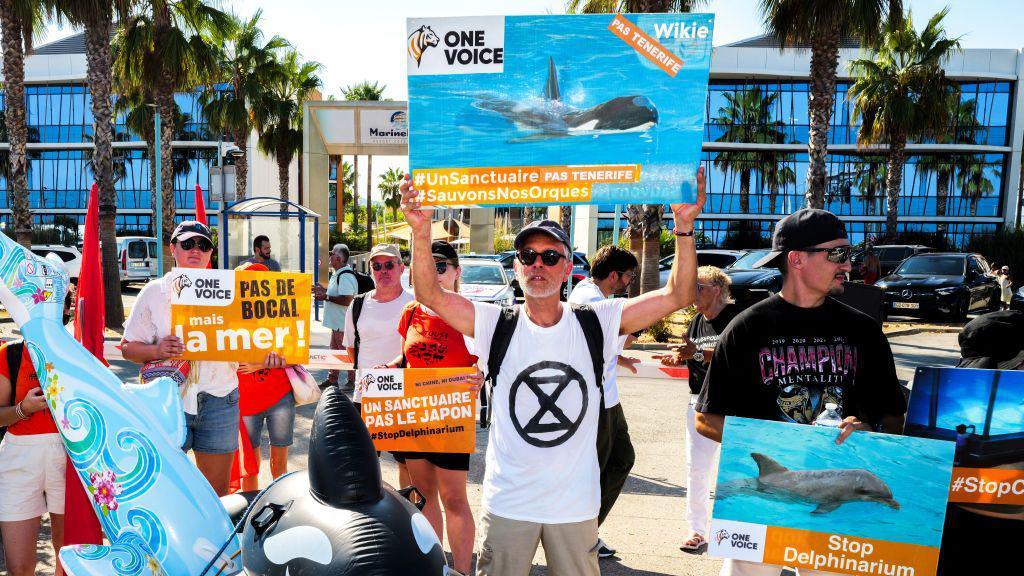 Protestors hold signs reading "A sanctuary, not Japan - Save our orcas" and "A sanctuary, not Tenerife - Save our orcas" during a demonstration against animals held at Marineland Antibes 