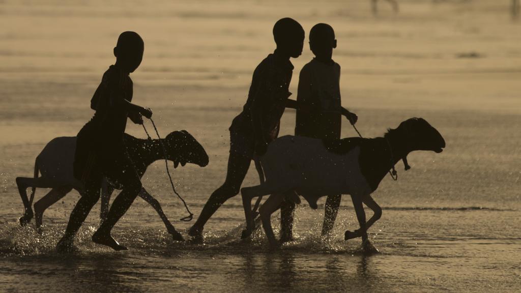 children on beach