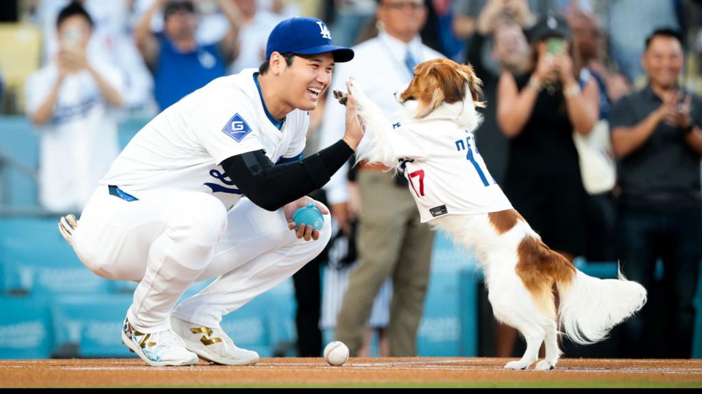 Dodgers star Ohtani's dog 'throws out' first pitch