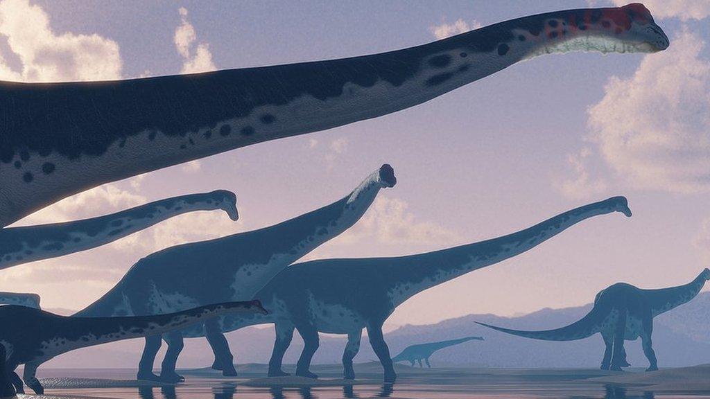 A group of sauropods