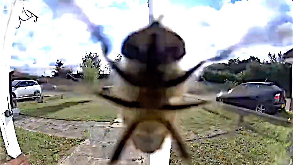 A flying insect lands on a doorbell camera.