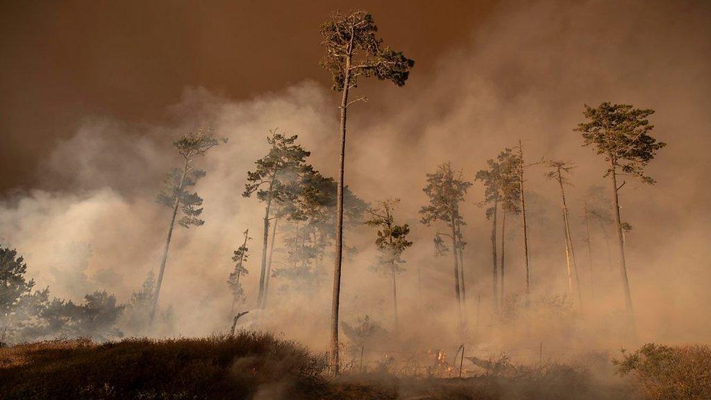 Wildfire smoke in California