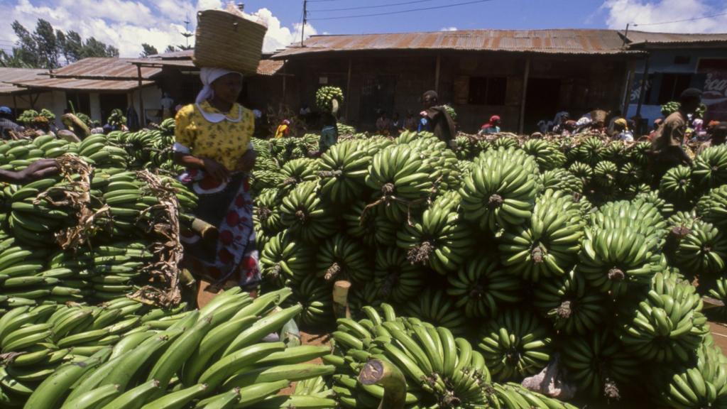 Banana market