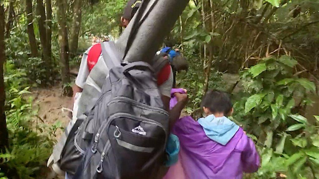 People walking through jungle