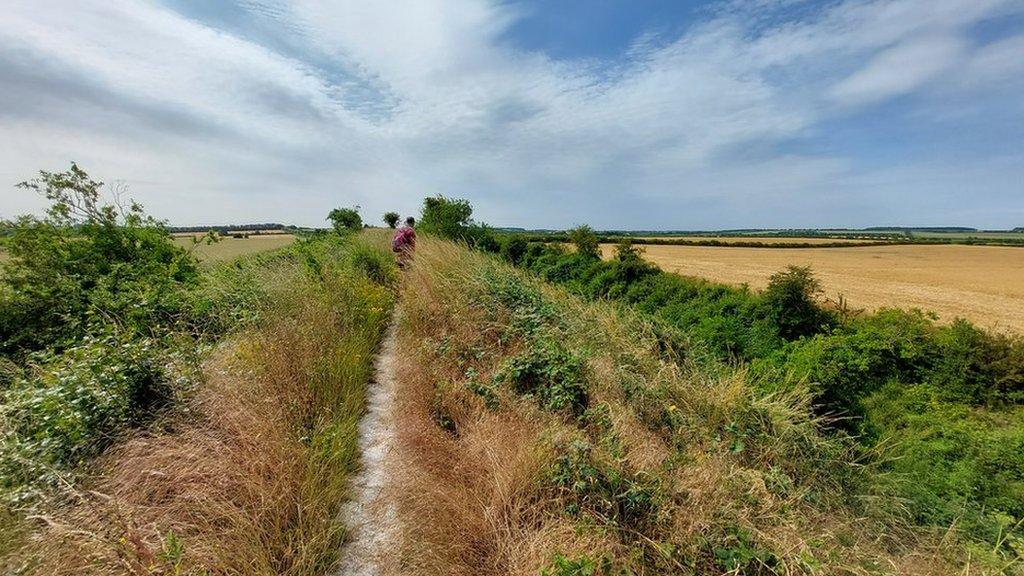 Fleam Dyke