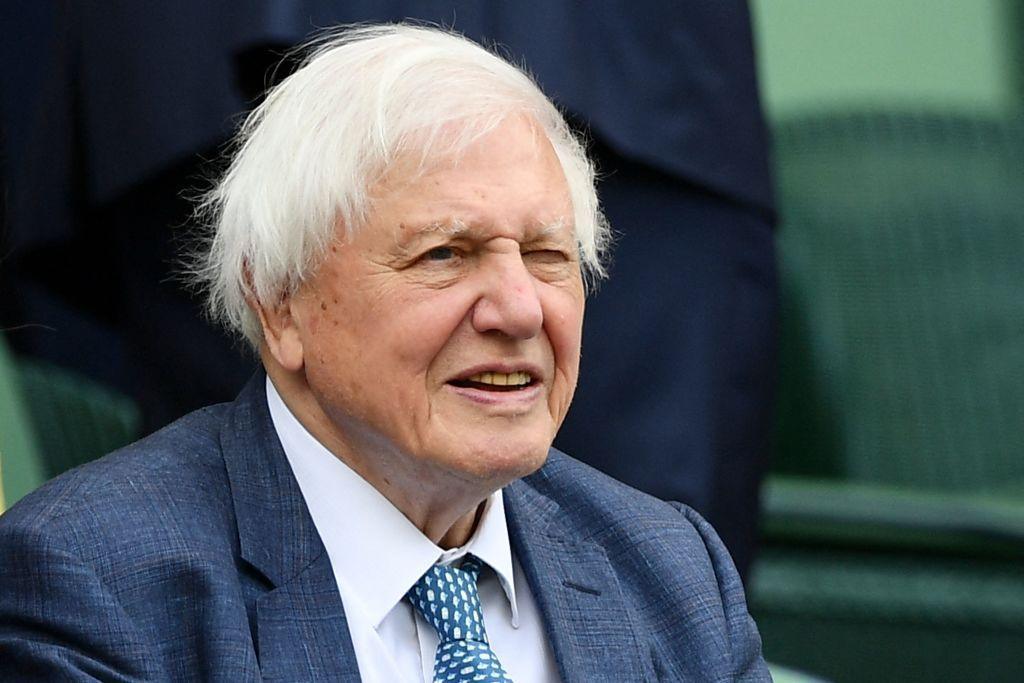Sir David Attenborough watches a tennis match from the royal box at Wimbledon