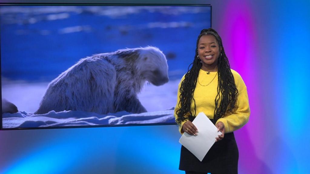 নিউজগ্রাউন্ড দেখুন নিউজগ্রাউন্ড দেখুন