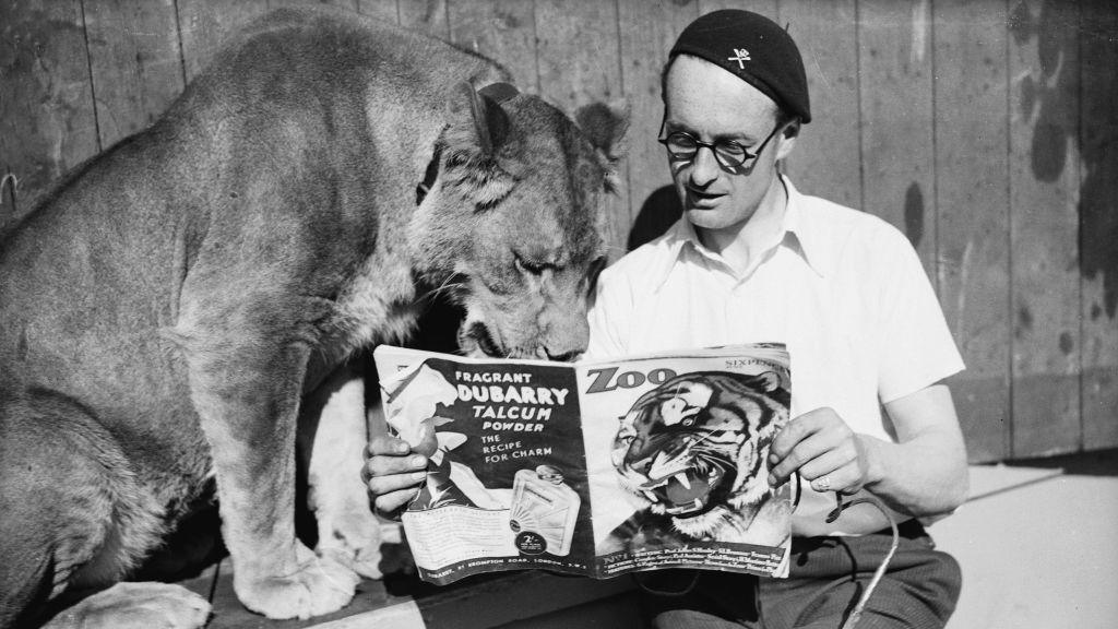 Briton the lioness and Tornado Smith are pictured. He is reading a magazine while the lioness looks down at it. He is sitting while the lioness is perched next to him. He is wearing a black beret and a white shirt. 