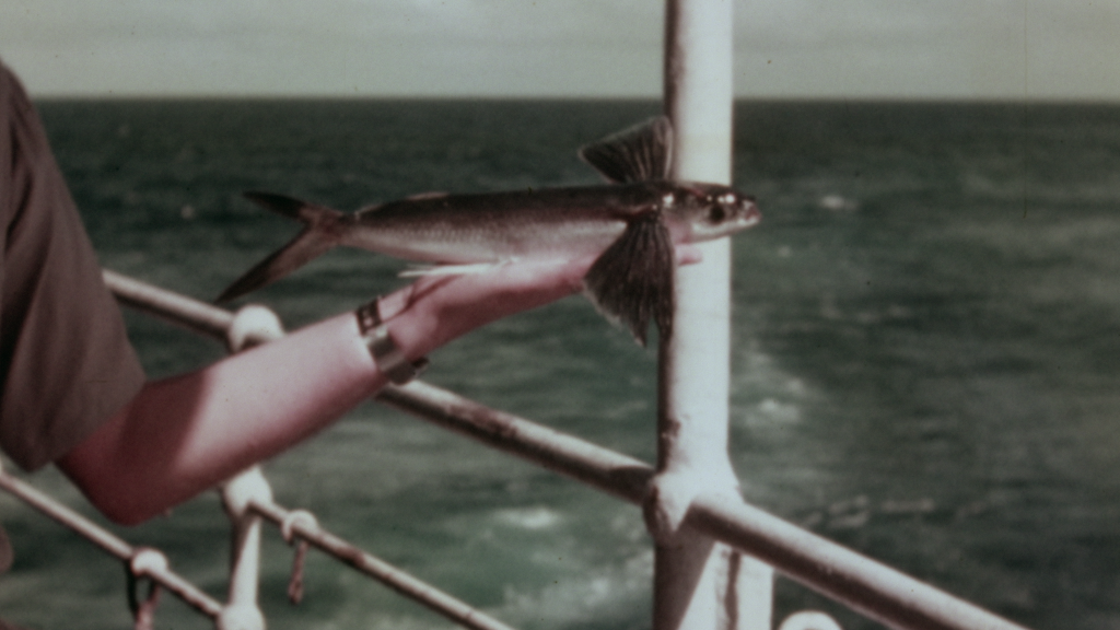 An image of a person holding a fish on the side of what appears to be a ship