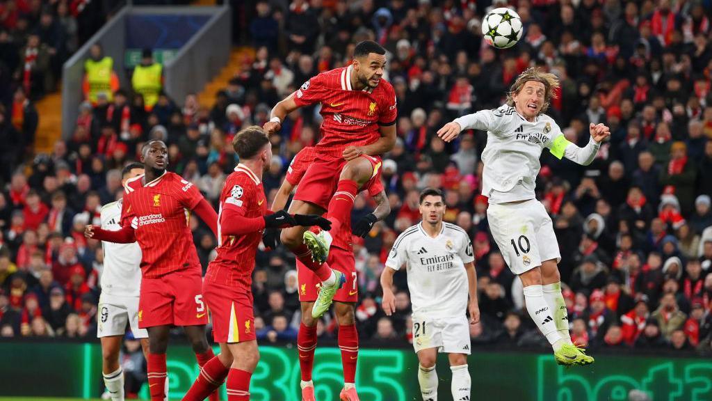 Cody Gakpo scores for Liverpool against Real Madrid