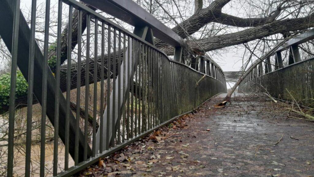 A view across the bridge, showing a fallen tree that has damaged the bridge's handrails