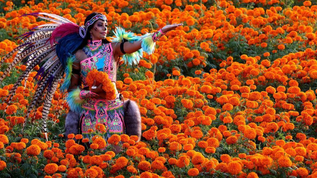 A woman dressed as La Catrina poses in a field of Cempazuchitl flowers - Mexican Marigolds