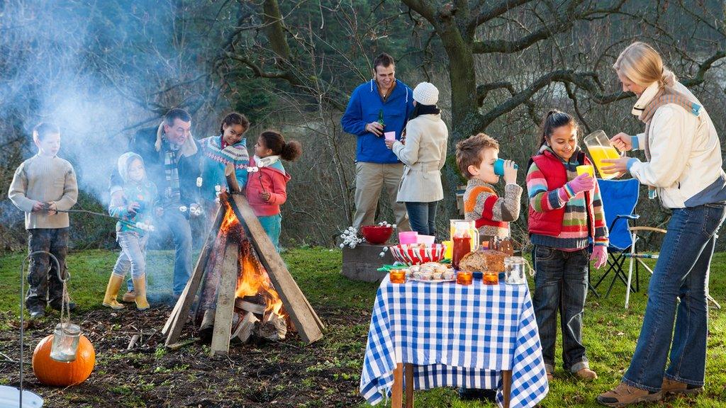 bonfire-night-party.