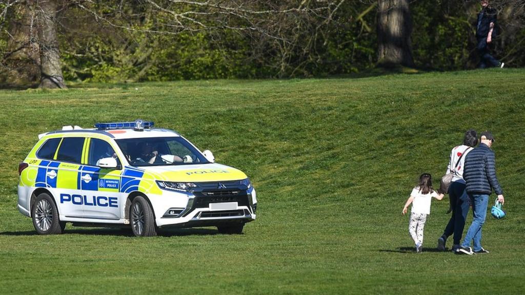 Police car in park