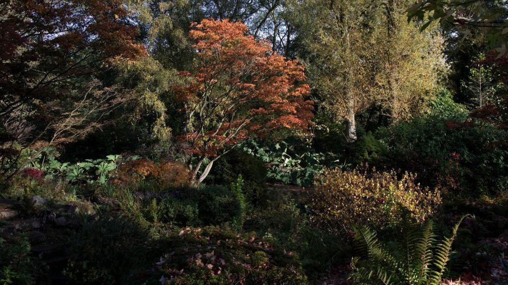 Birmingham Botanical Gardens