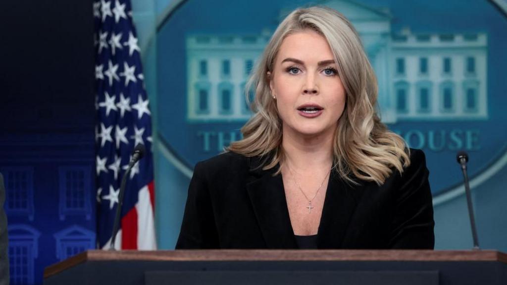 Leavitt Defends Trump’s 28‑Point Ukraine Peace Plan Against Critics