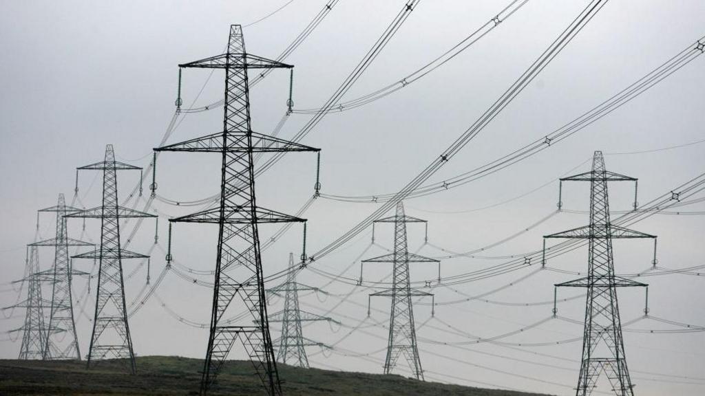 Two lines of pylons with overcast skies behind