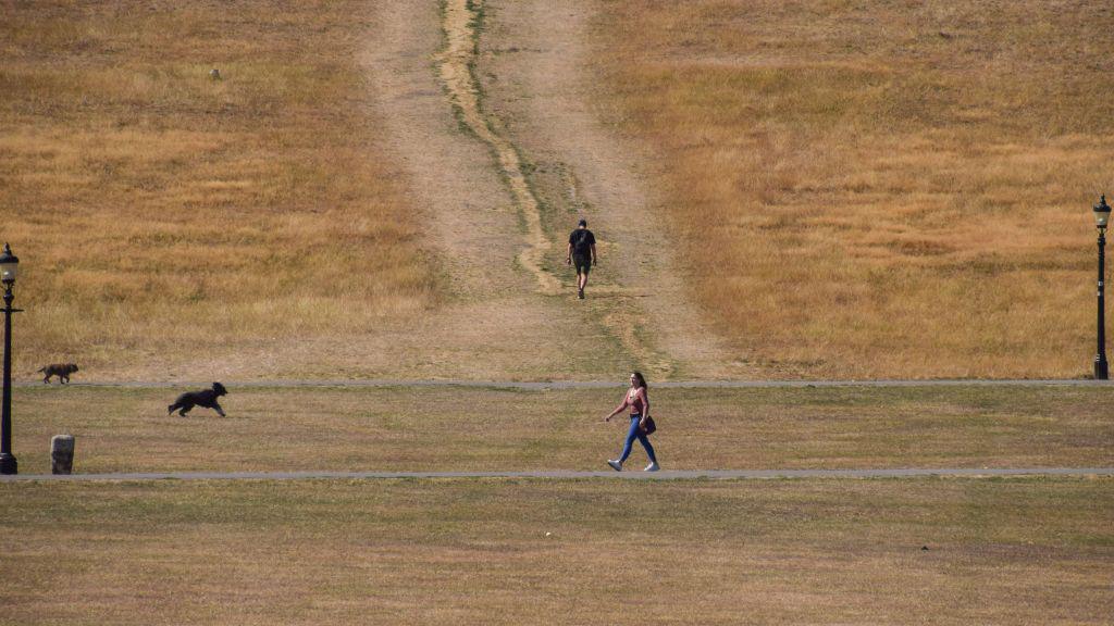 : People and dogs walk across a parched Primrose Hill as a drought is declared in parts of England. Persistent heatwaves resulting from human-induced climate change have affected much of London, with wildfires and droughts seen across the capital. (Photo by Vuk Valcic/SOPA Images/LightRocket via Getty Images)