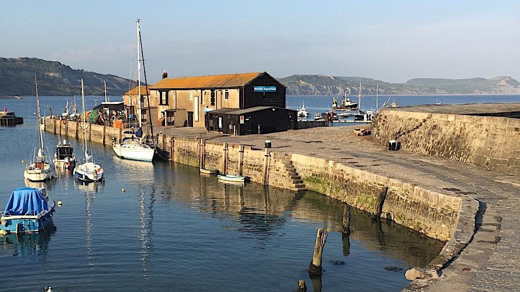 The Cobb breakwater at Lyme Regis in low sun. On the inside of the stone breakwater on the left of the picture are a number of small boats moored in the harbour. Two buildings with pitched roofs and chimneys stand on the end of the breakwater. The sloping cliffs of the Jurassic Coast are in the background.