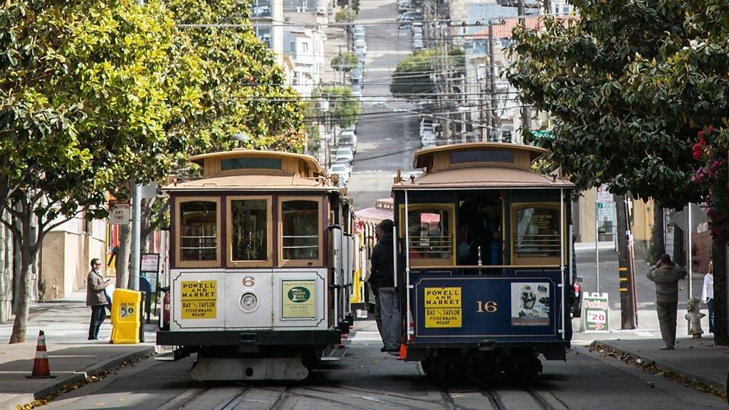 Two trams under trees