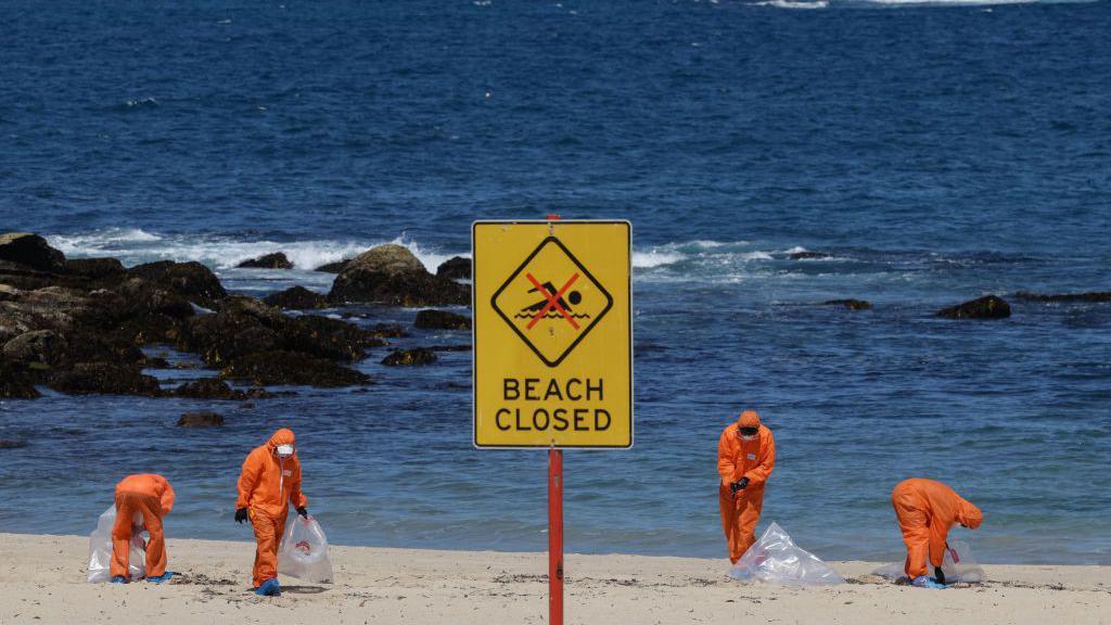 Workers collecting the mystery blobs from a Sydney beach.