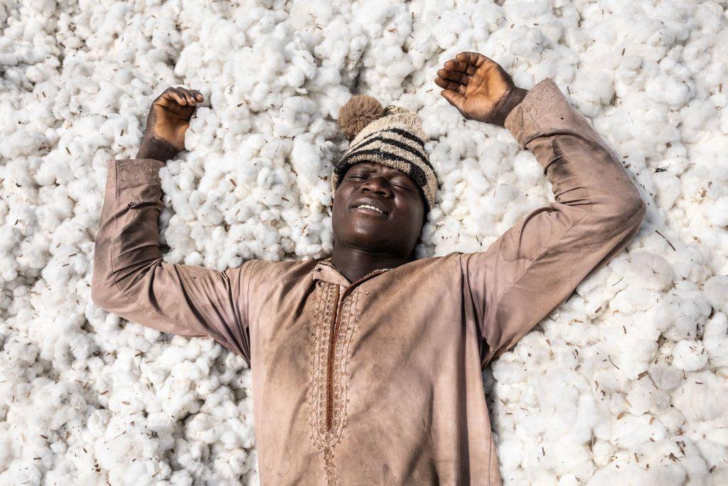 A man smiles and lies on top of a huge mound of fluffy, picked cotton.