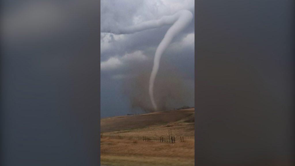 Tornado in corn field