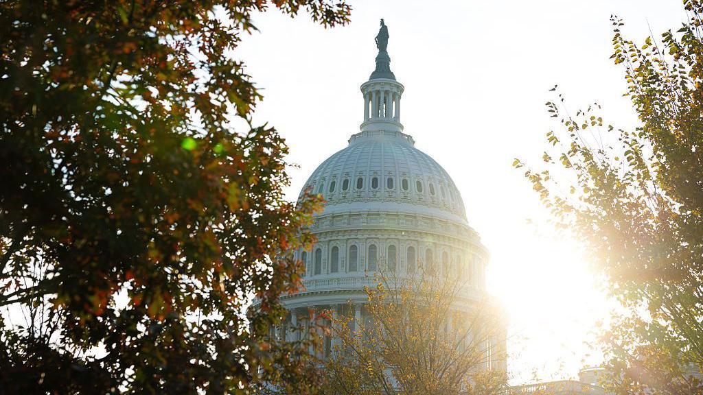 The US Capitol is seen on the 40th day of a government shutdown on November 9, 2025 in Washington, DC. The Senate convened for a rare Sunday session in an attempt to end the government shutdown.