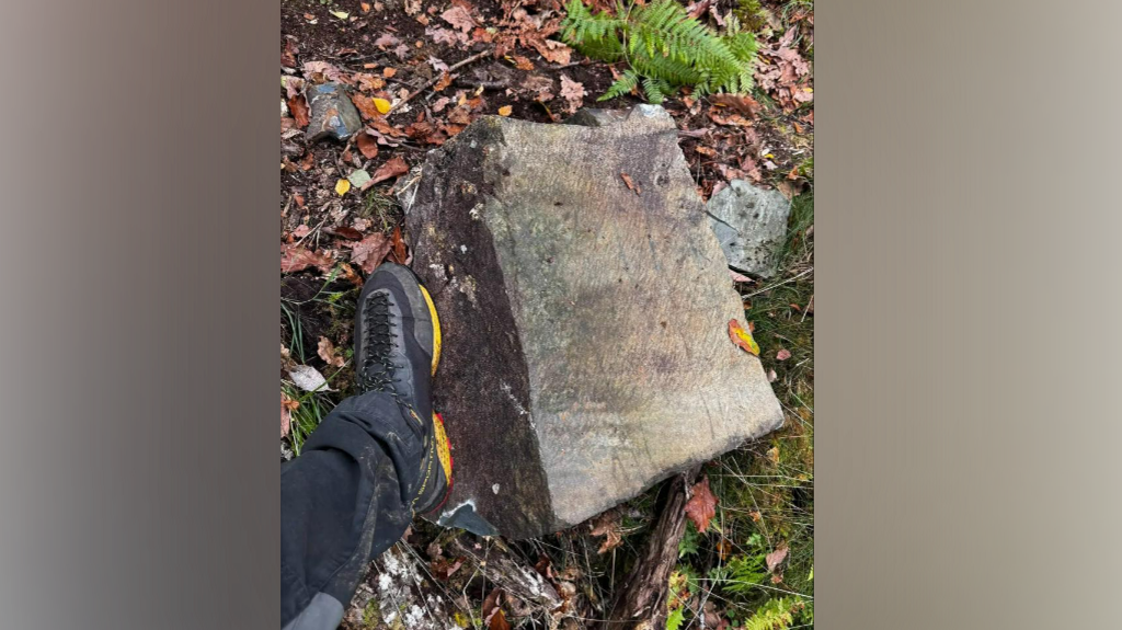 A large rock on a forest floor with a person's foot on its side. 