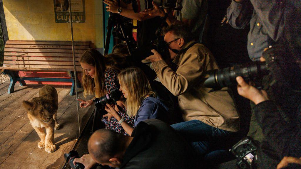 Photographers take photographs of an Asiatic lion cub during a photocall to promote the London Zoo annual 'weigh-in' event 