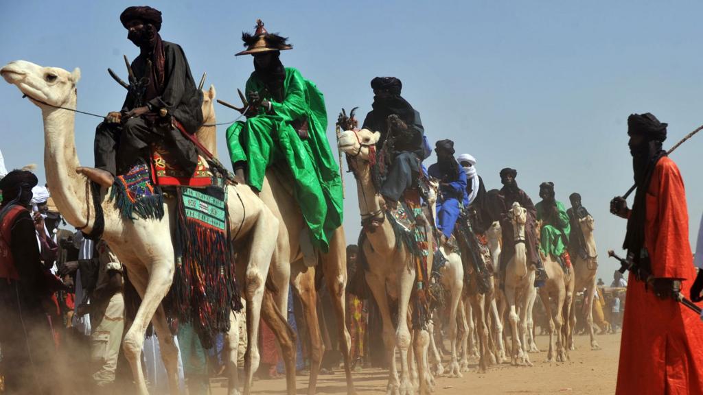 Camels in Niger