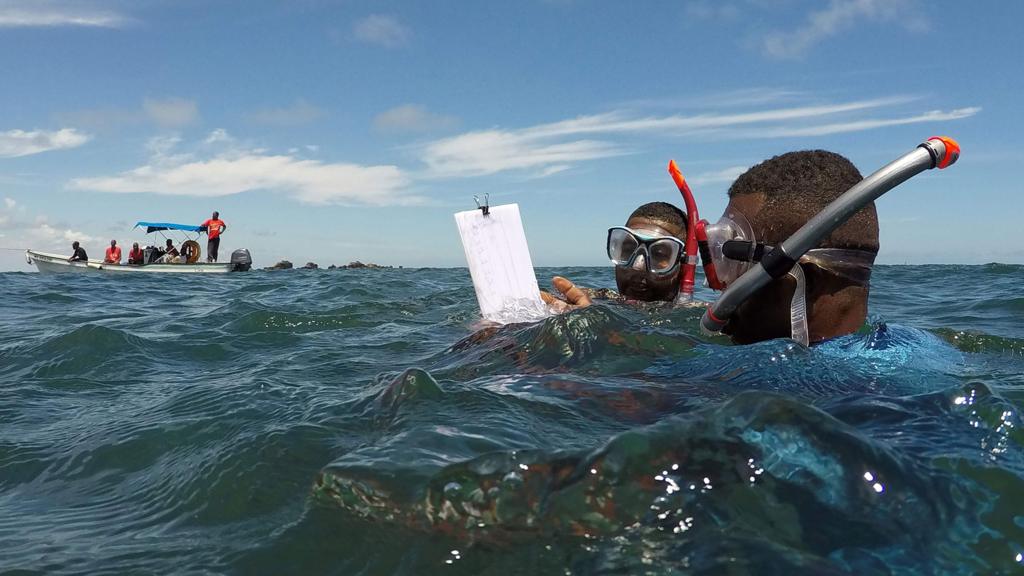 Snorkelers off Kenya - November 2016