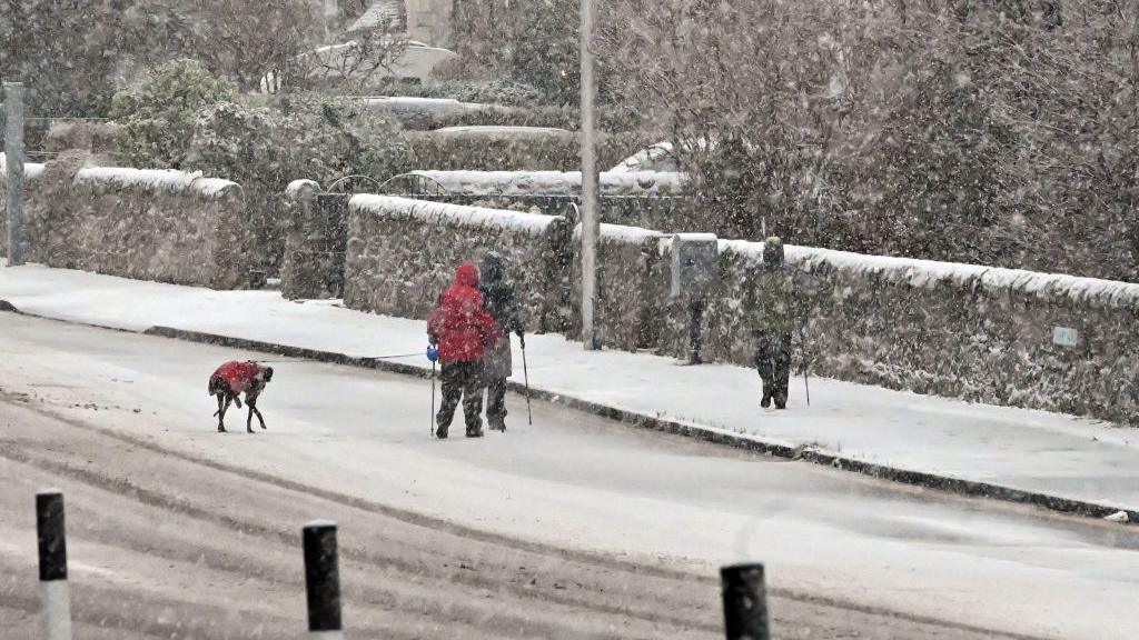 group of walkers and a dog walking on a road that is starting to get covered in snow.  Snowing is falling heavily