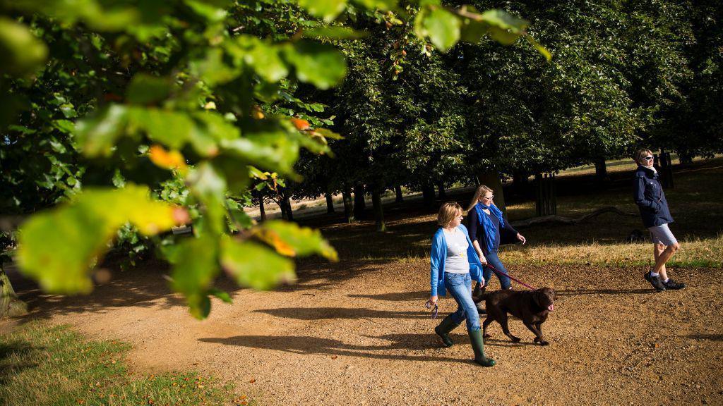 Dog walkers in park