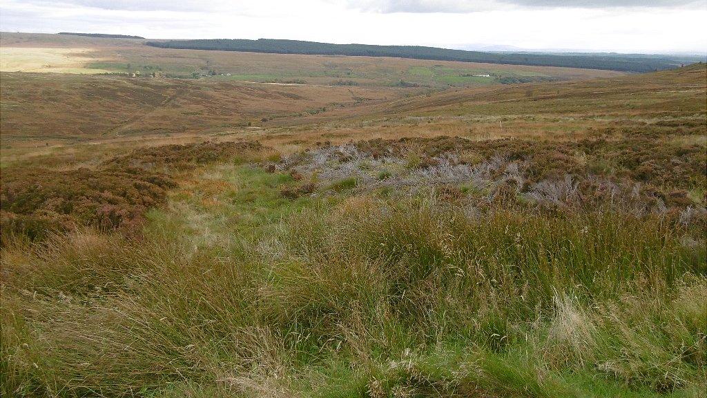 Langholm Moor